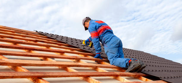 Best Asphalt Shingle Roofing  in Rural Hill, TN